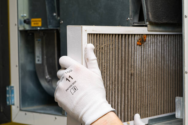 Best Air Duct Inspection  in Alpine, UT