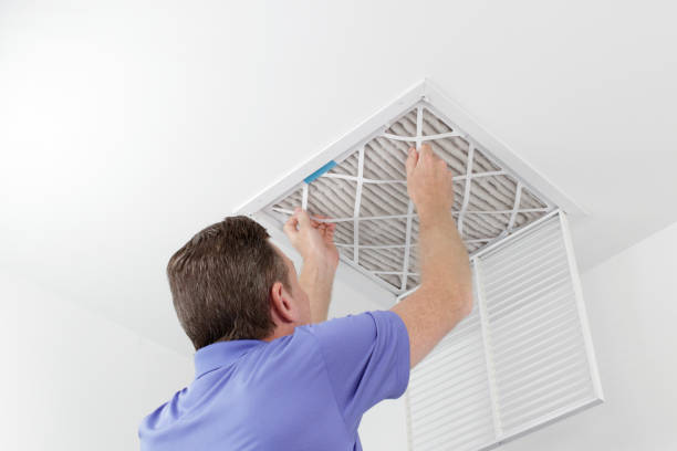 Best Home Air Vent Cleaning  in Alpine, UT